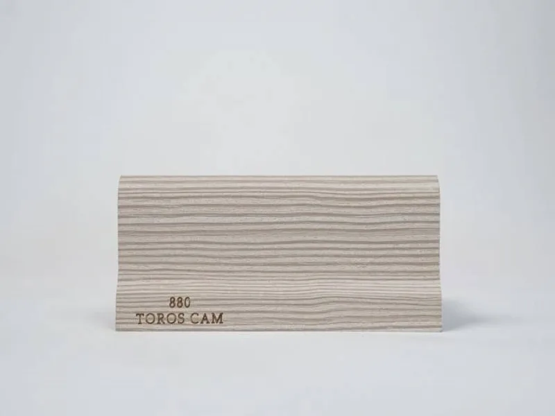 880 - Toros Cam