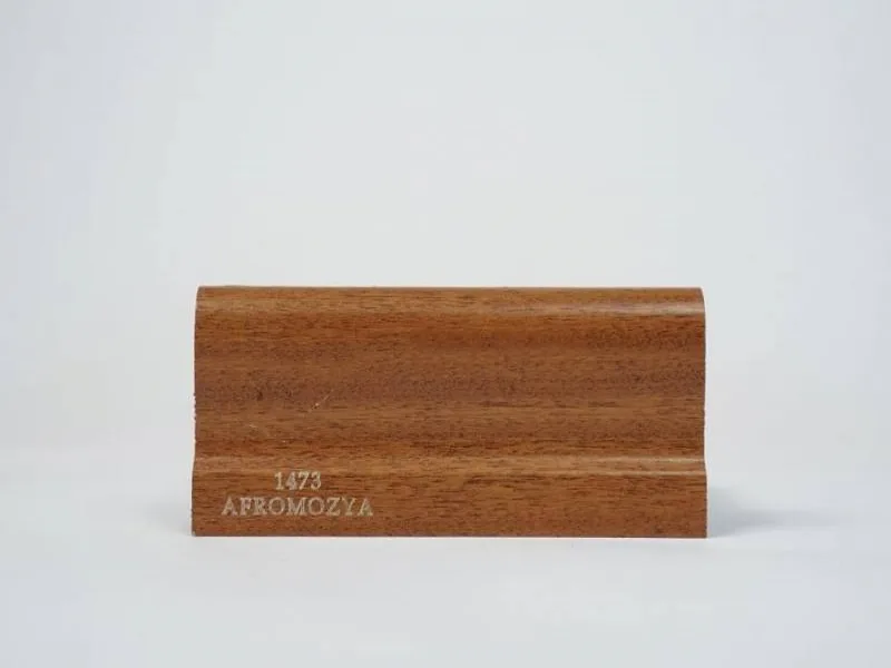 1473 - Afromozya