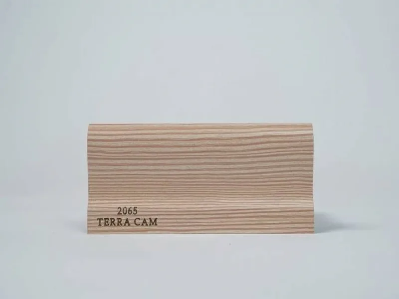 2065 - Terra Cam